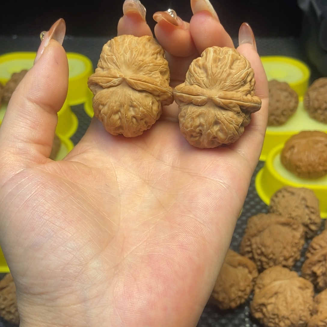 核桃元宝40全品白茬