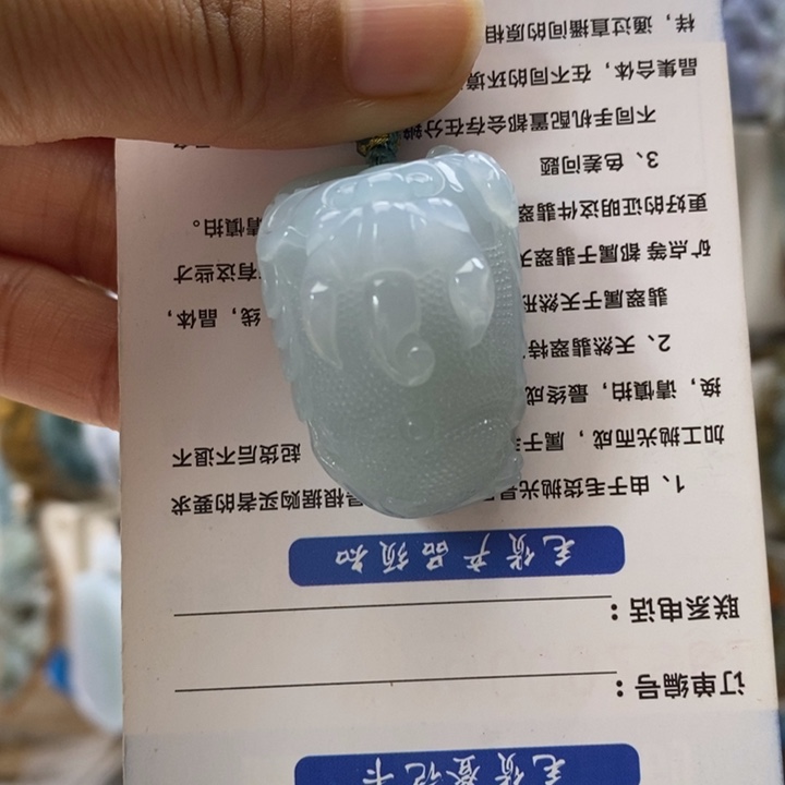 *****翡翠未镶嵌颈饰好