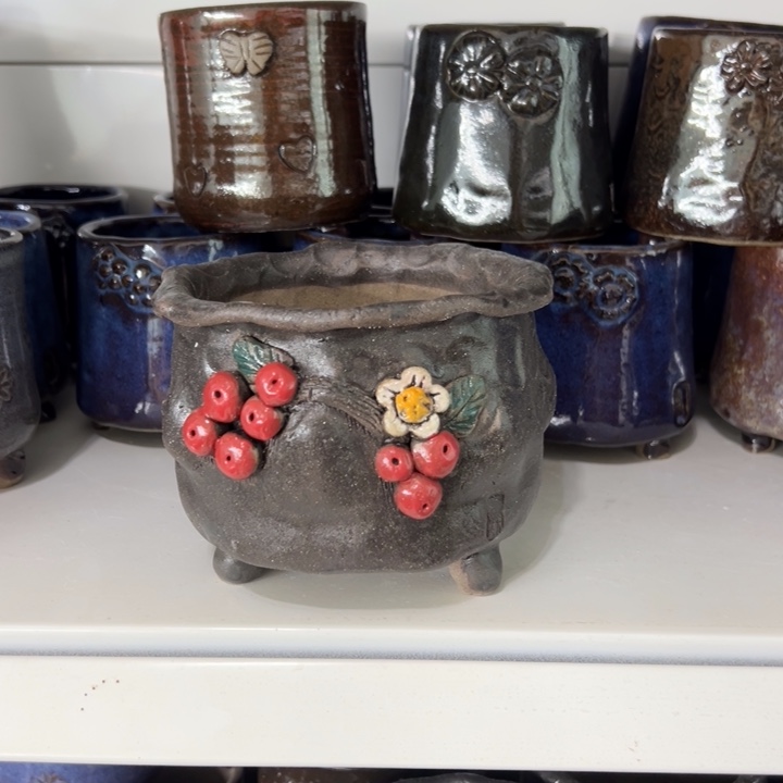 特价多肉花盆百搭