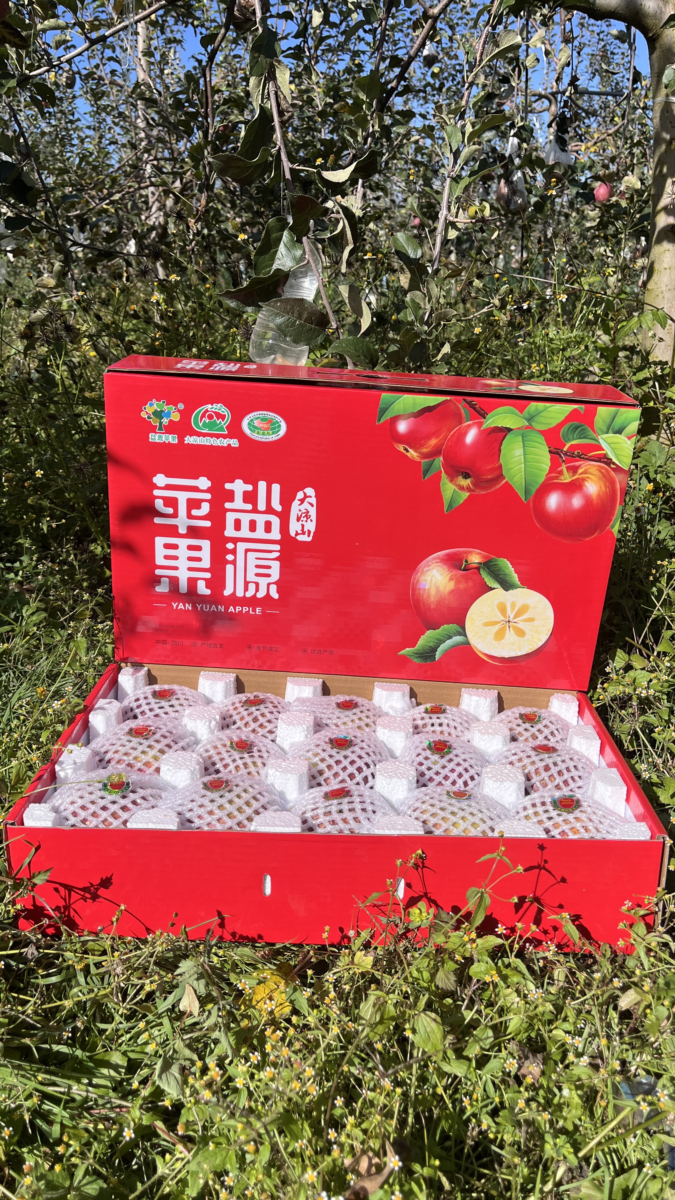 【礼盒装】四川大凉山盐源冰糖心丑苹果当季应季新鲜水果新鲜采摘