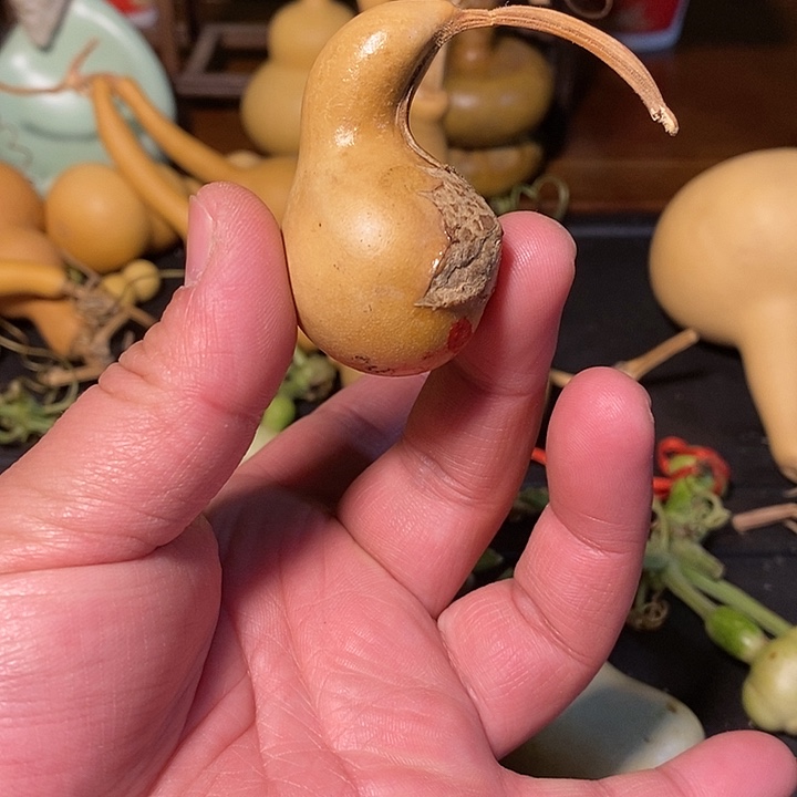 西**游精品葫芦手把葫芦45