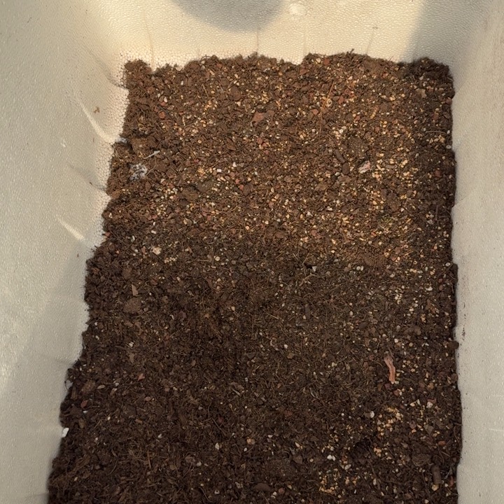精品多肉植物专用土