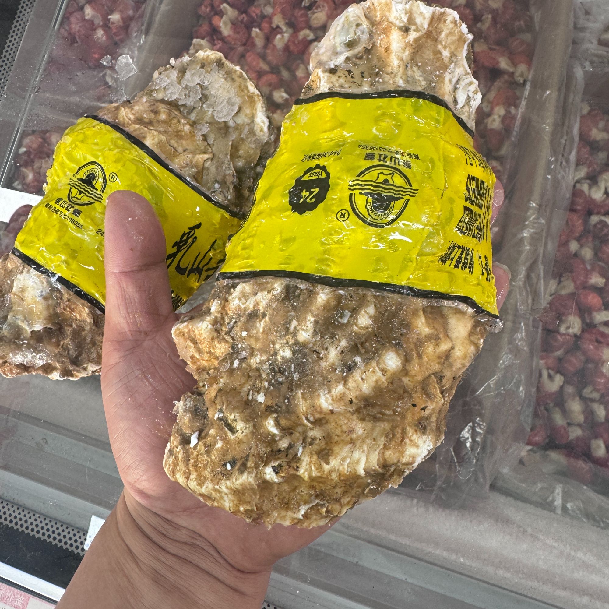 《新疆包邮》13＋乳山蚝王 单个一斤左右