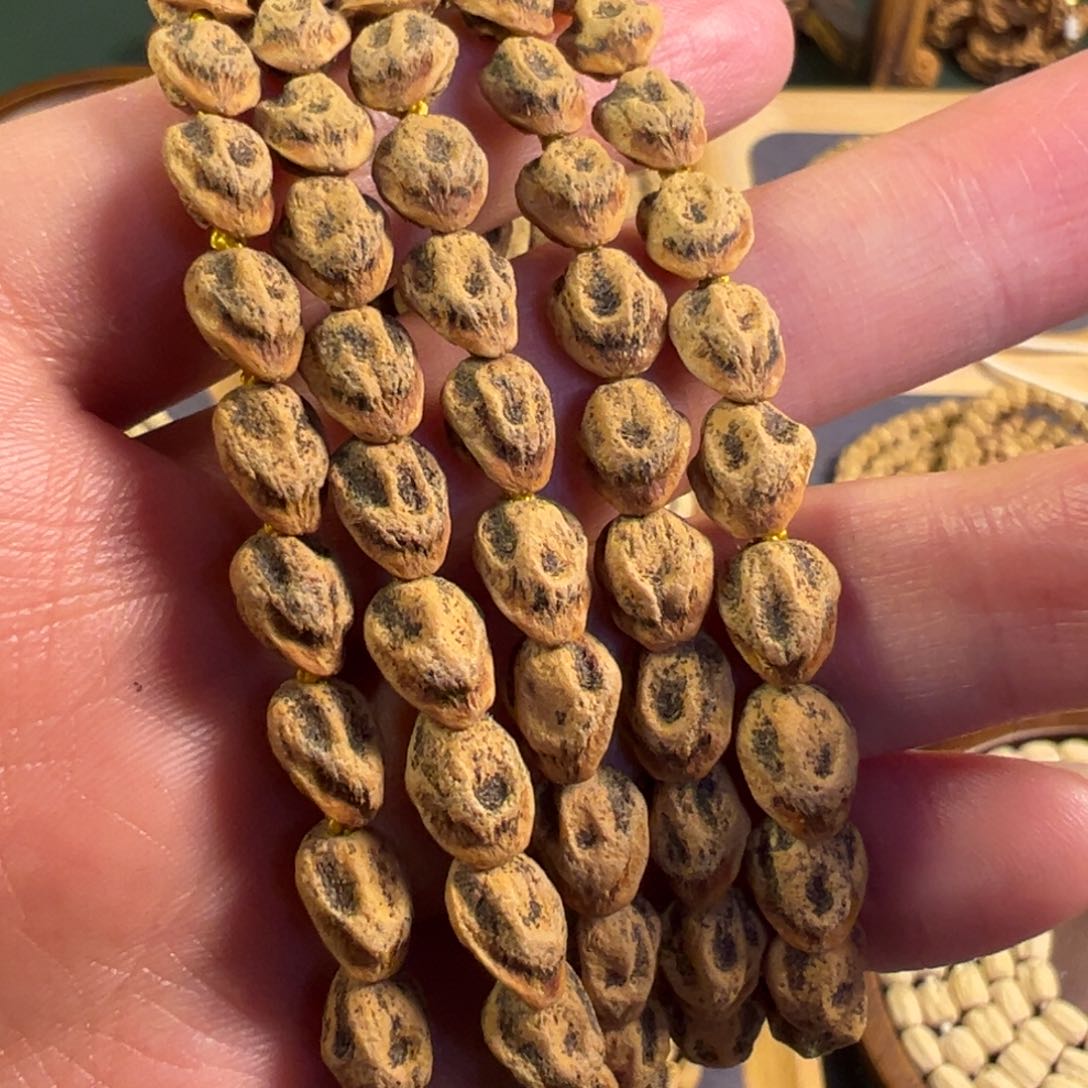 【闪购商品】柏香籽/百香籽吊坠热振斜打狮驼岭主13号