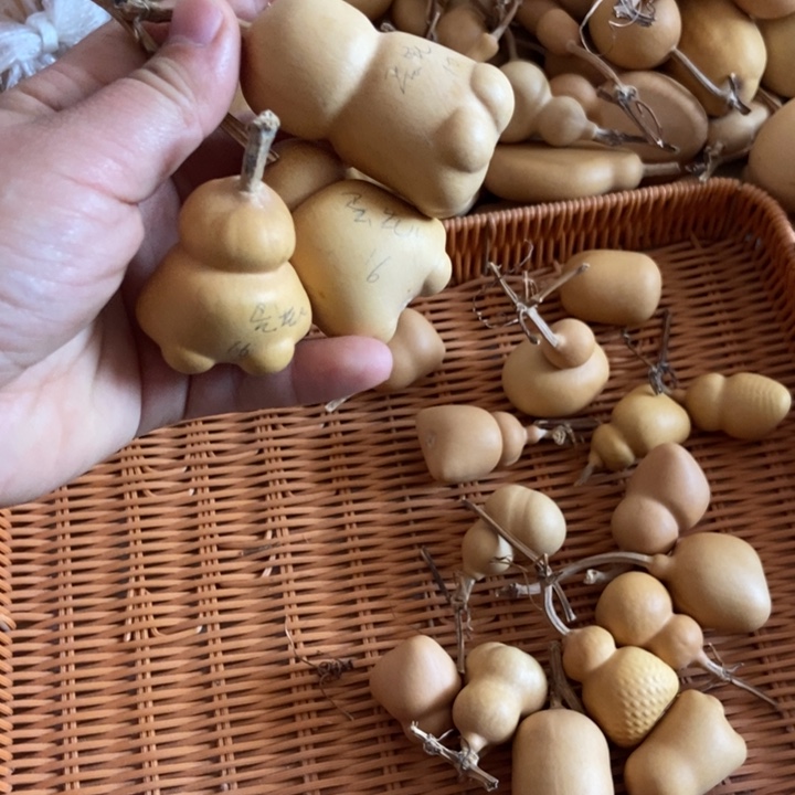 -***儿蛋花蛋花蛋花蛋花