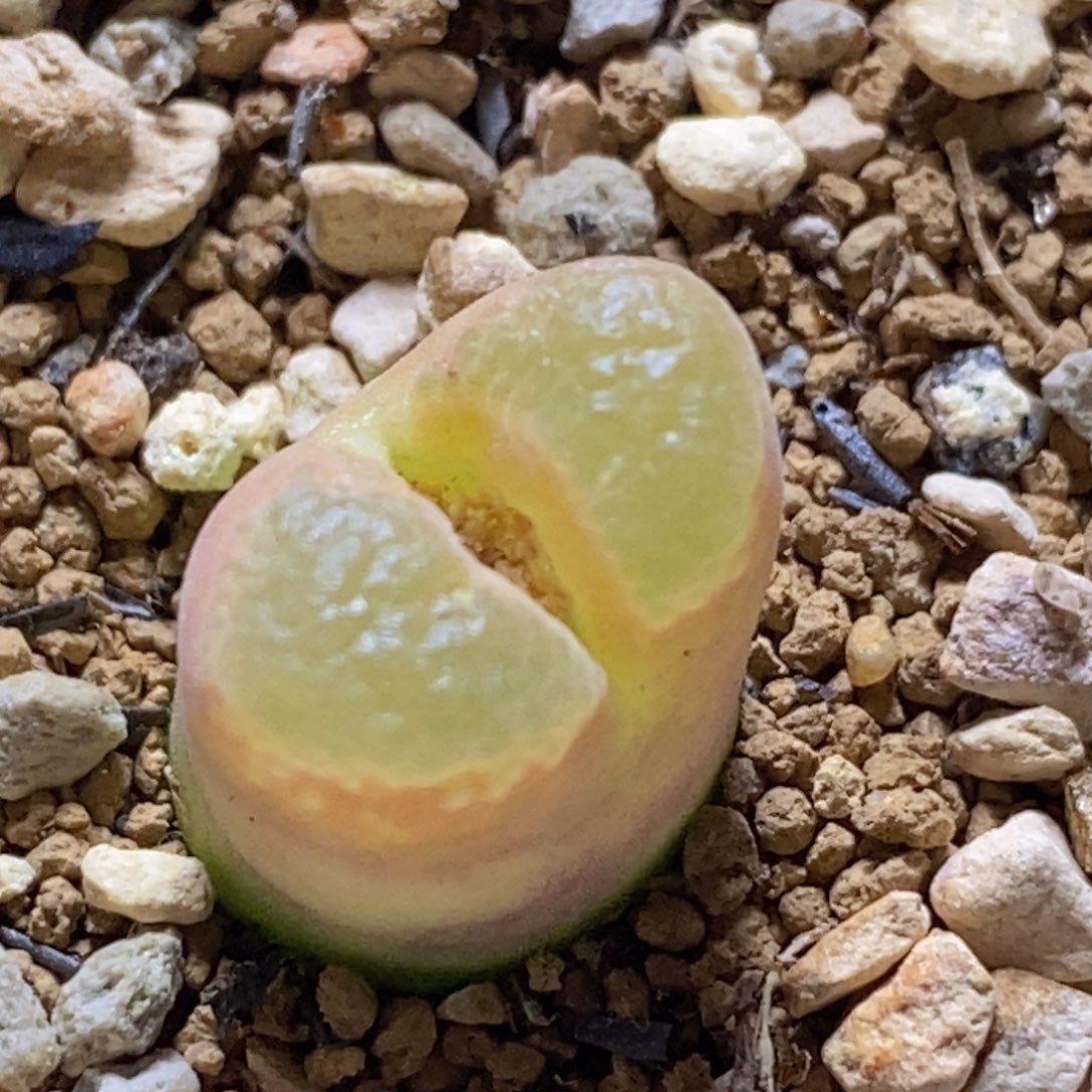 好看好看好看1802.83极窗