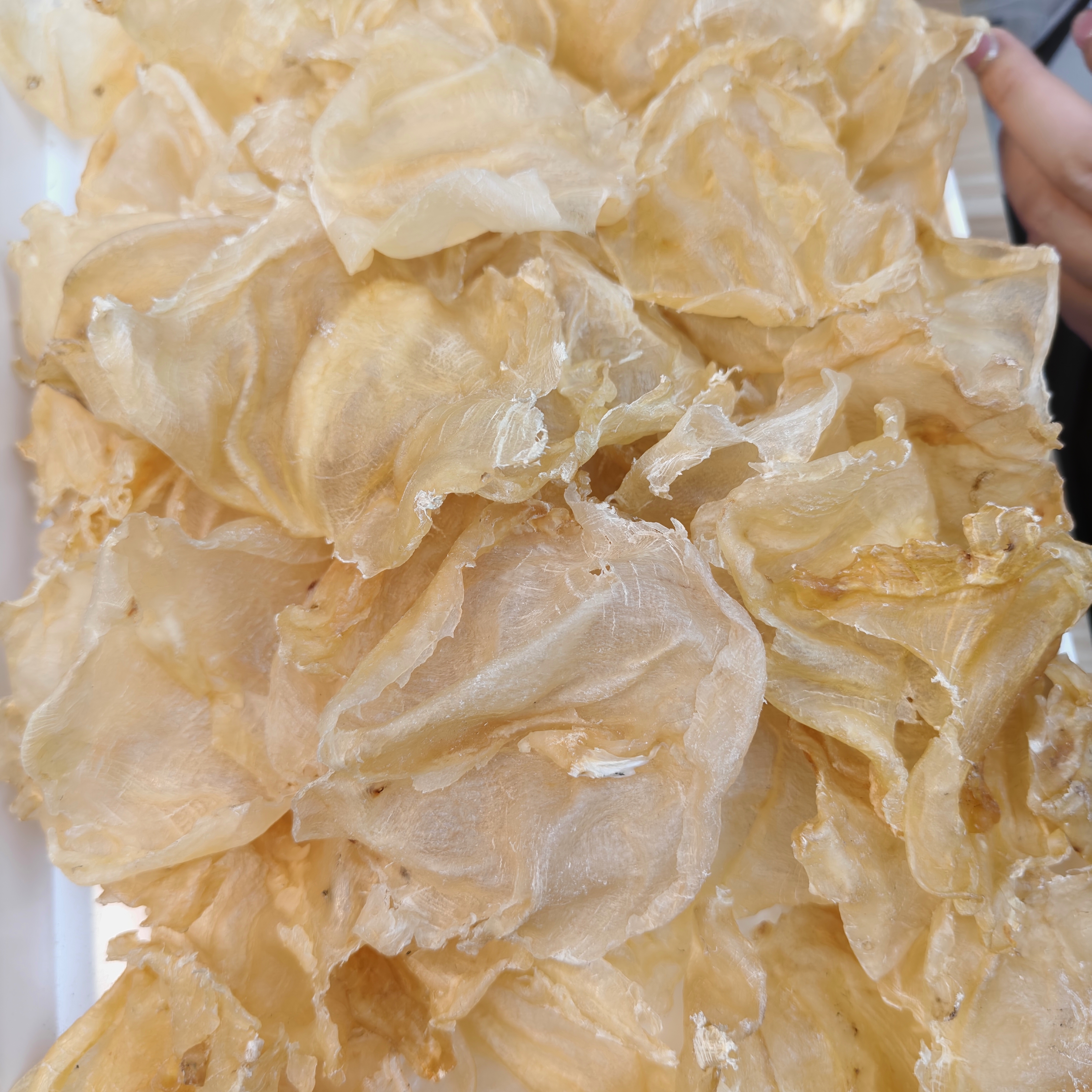 臻品汇滋补石肚胶片赤嘴鳘鱼花胶滋补佳品爽脆可口适合炖汤