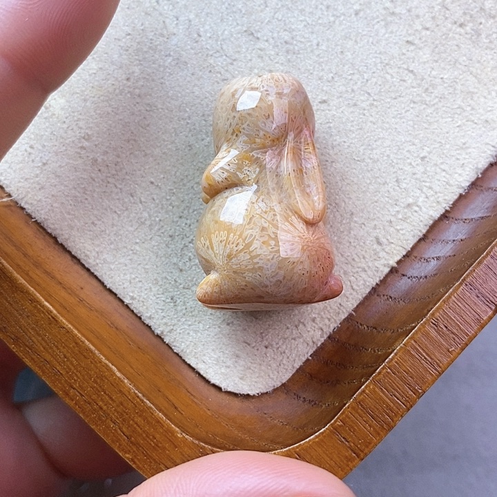 硅化玉颈饰未镶嵌