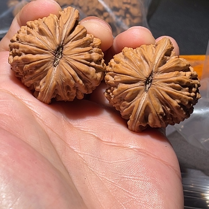 文玩核桃把件知**一38楼子毕业对