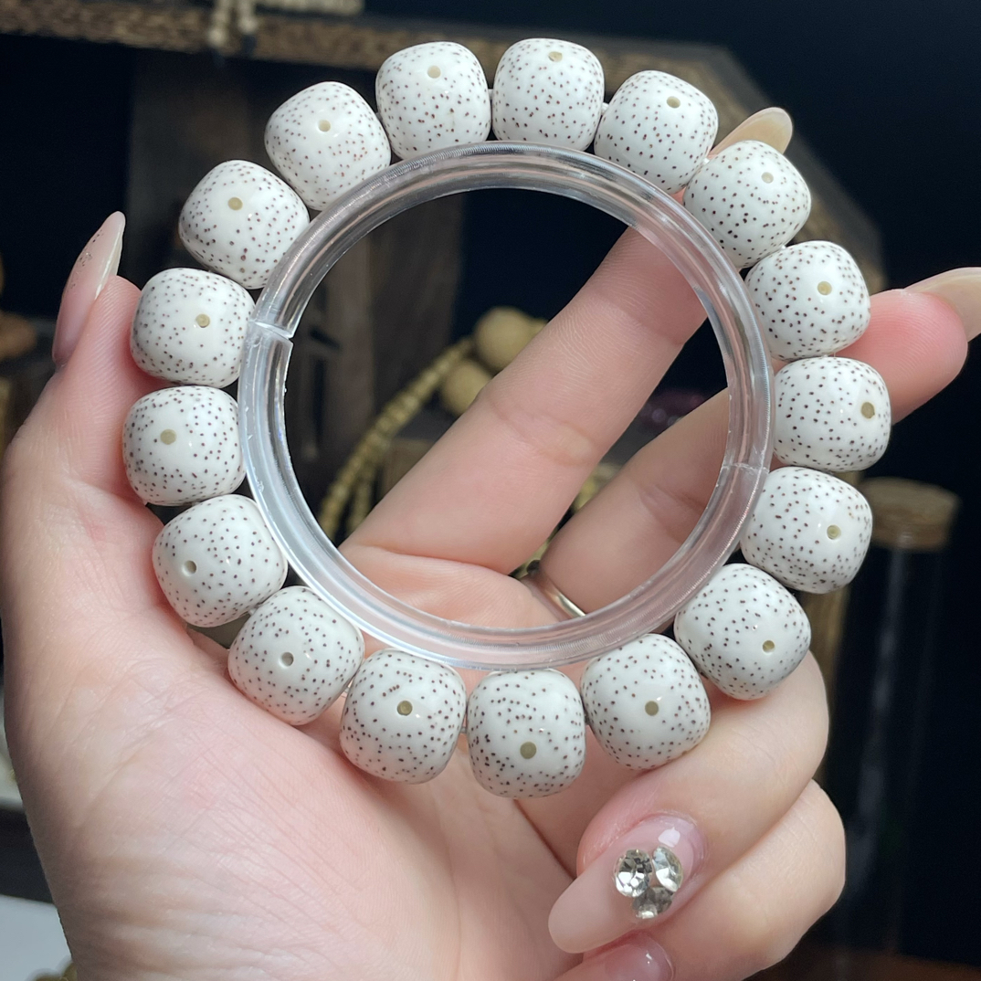 海南星月菩提原生态原白14x13