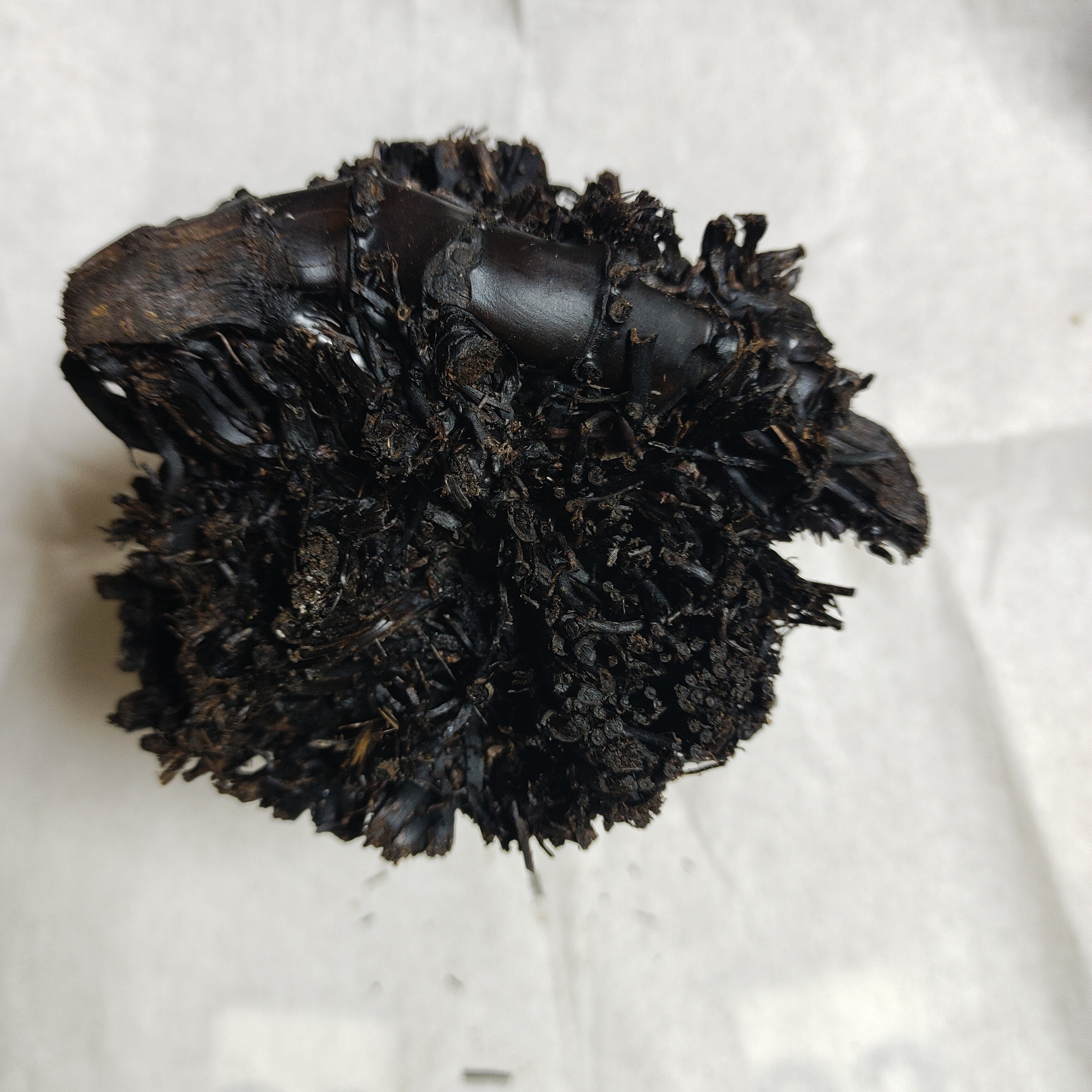 千年老竹鞭老竹根老竹筒老竹片烟杆料手把件茶侧料手把件