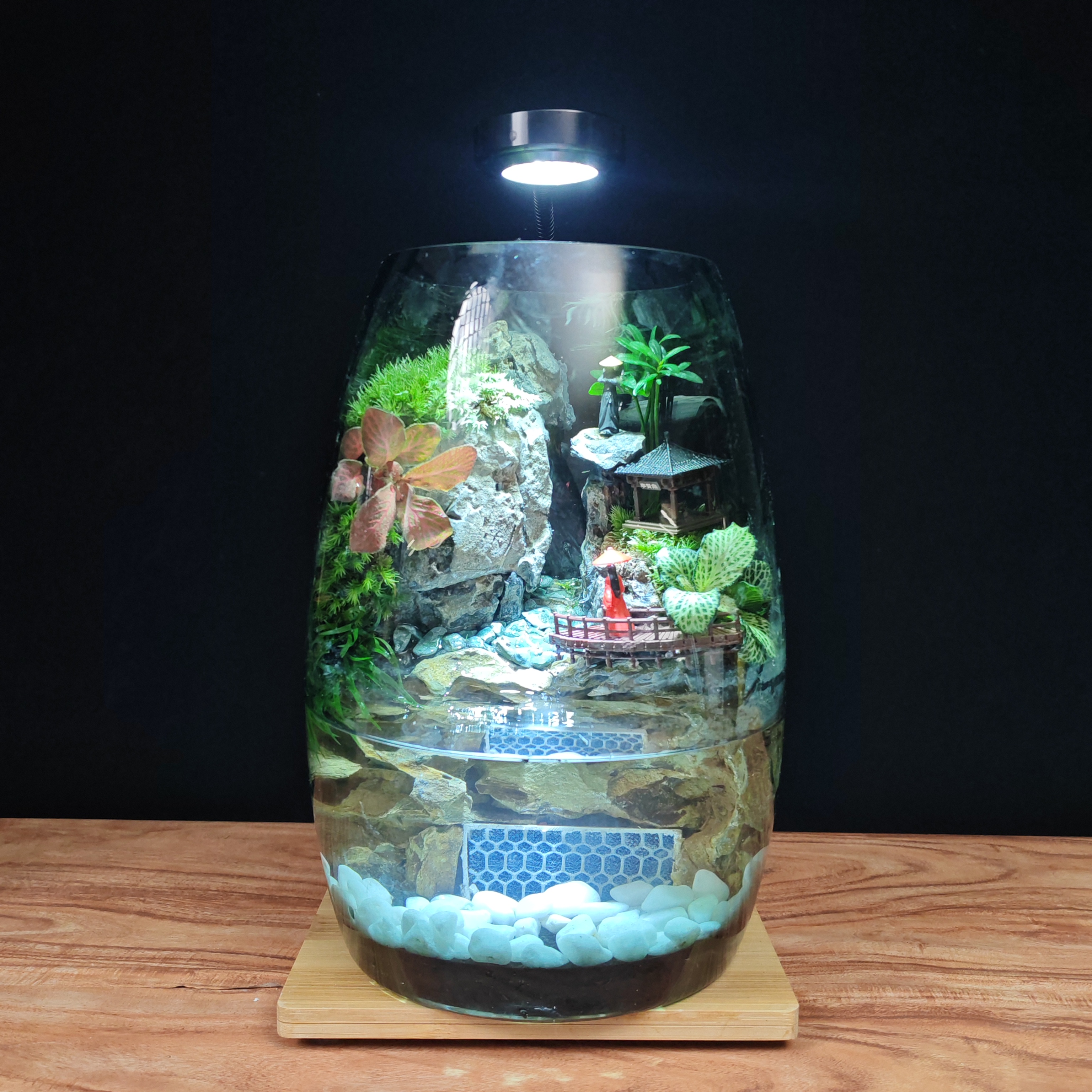 新品青云雅致流水艺术品苔藓观赏微景观客厅百搭生态缸