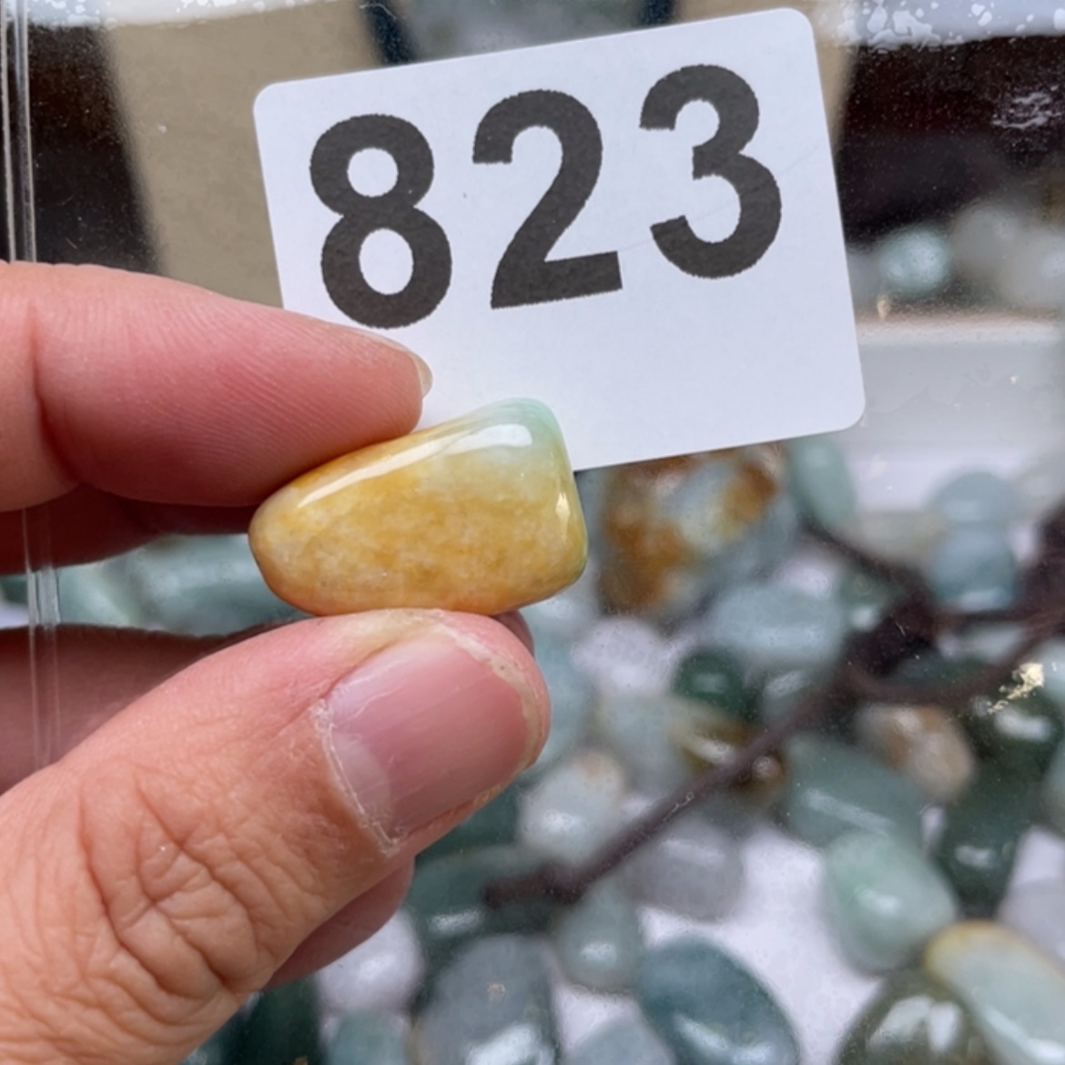 【闪购商品】翡翠颈饰未镶嵌小*萍翡翠