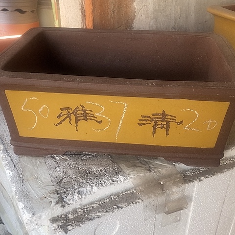 中国宜兴紫砂花盆，