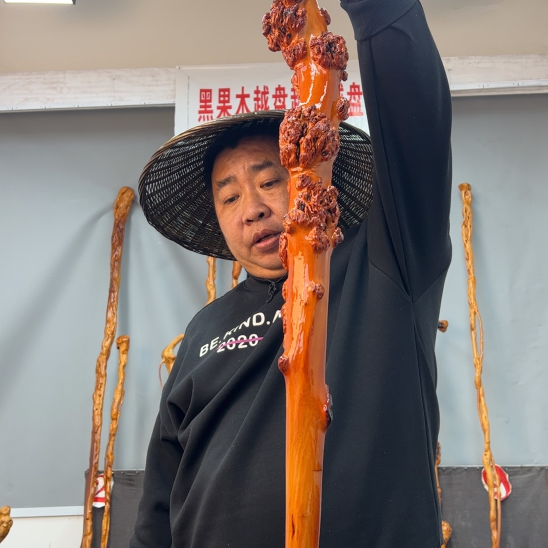 黑果木其他L****晨黑果木992