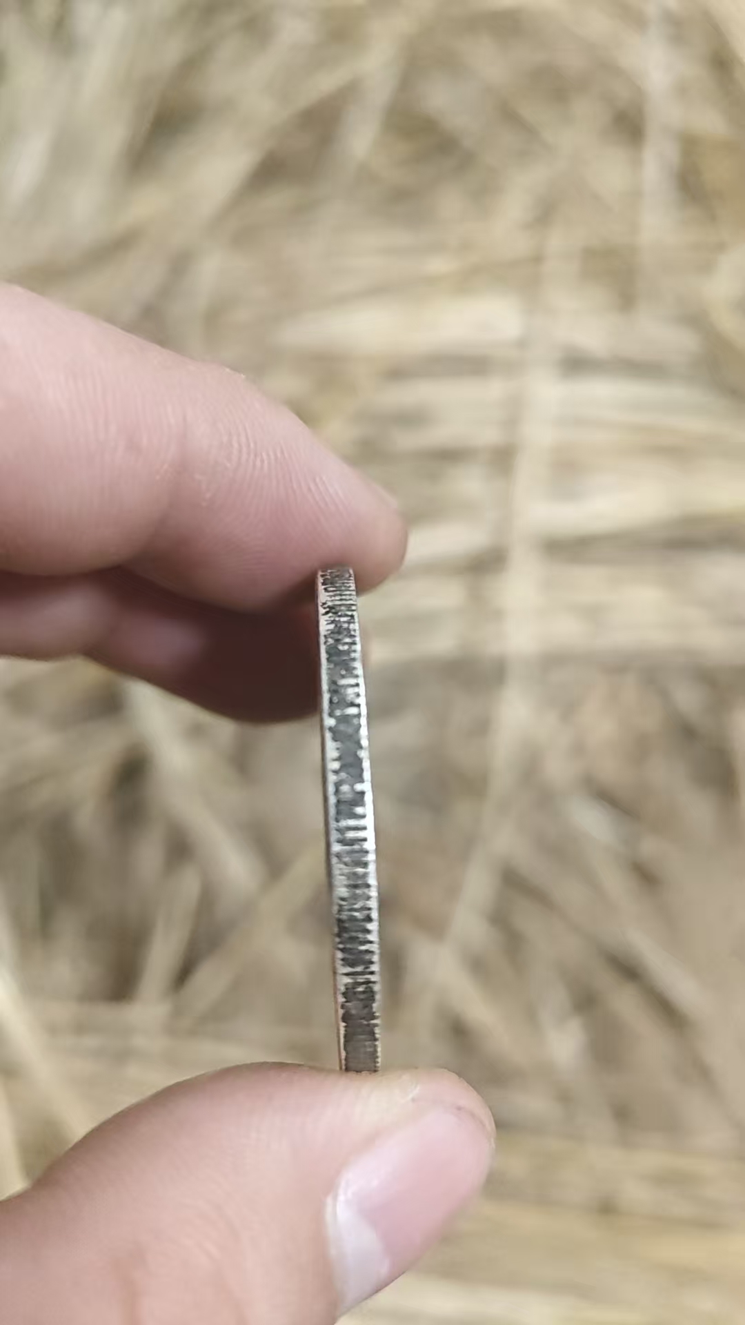 趣味收藏工艺品 00002 现代仿古复古摆件