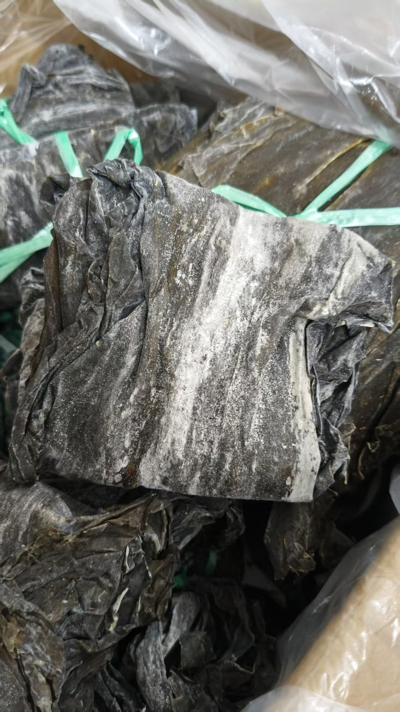 2025新海带条，煲汤鲜美