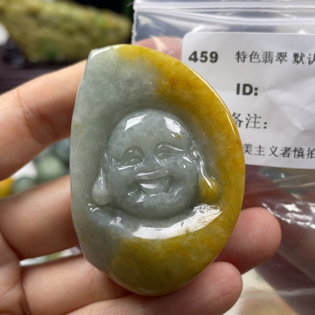 翡翠未镶嵌颈饰牌子