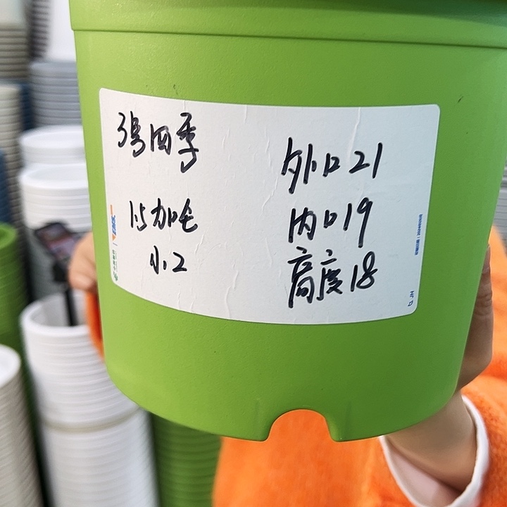 特价3号四季口21高18白色10个带托
