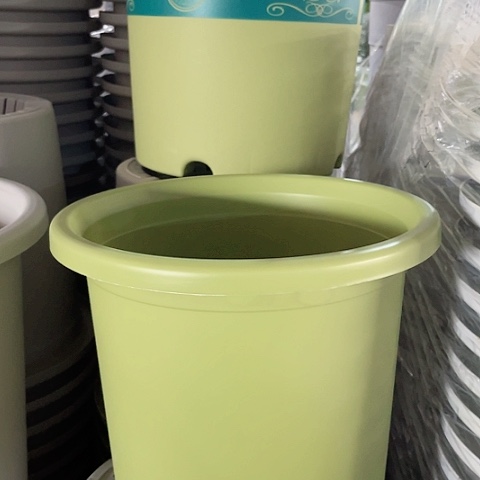 树脂四季8号5个绿无托