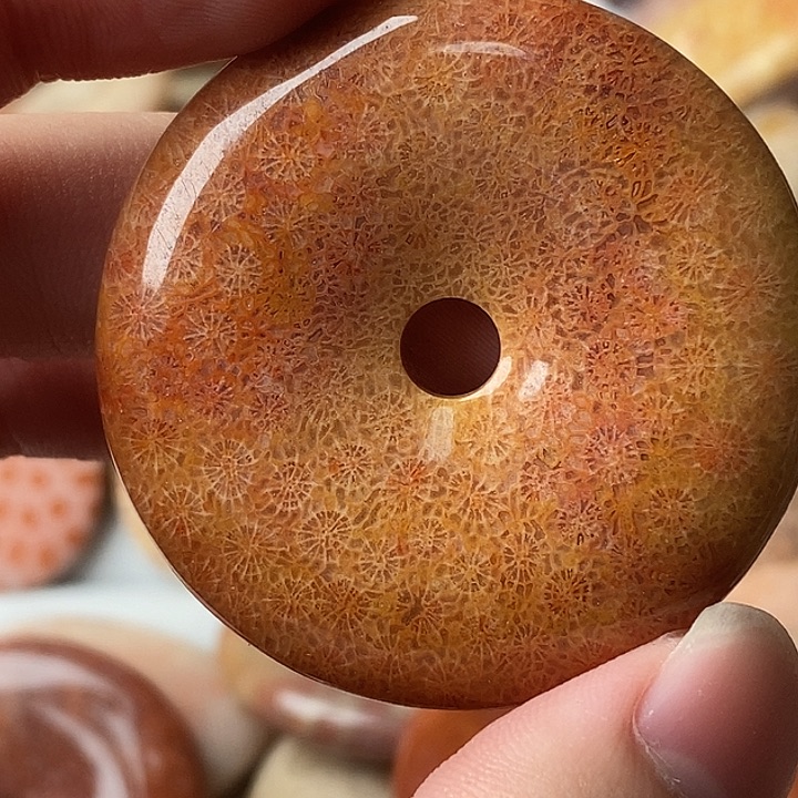 田***n硅化玉未镶嵌颈饰