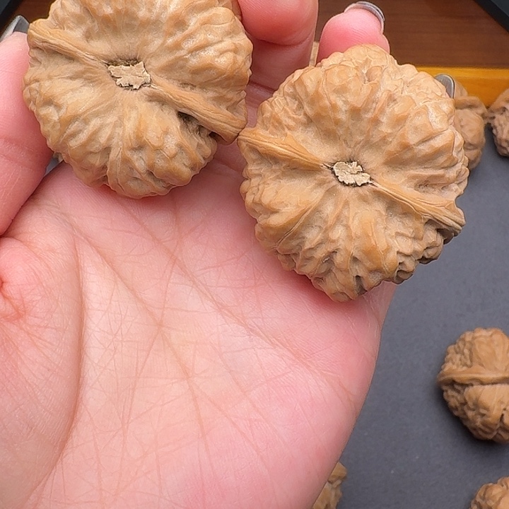 把***好42尺文玩核桃蛤蟆头