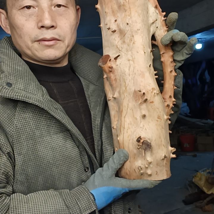稳定木?**?贵州檬子木   铁马鞭   根艺  半成品