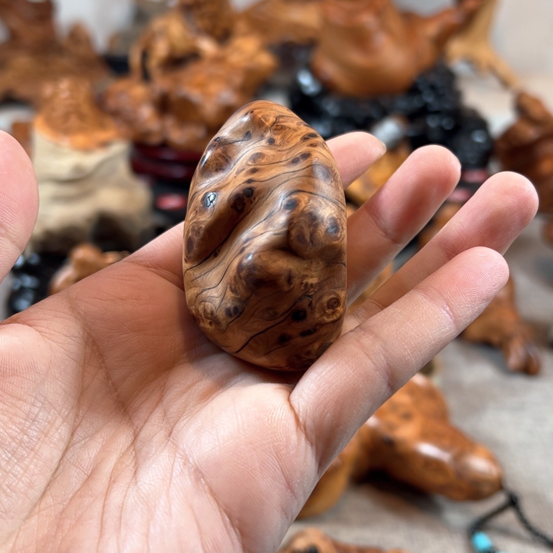 柏木（崖柏）8578536999