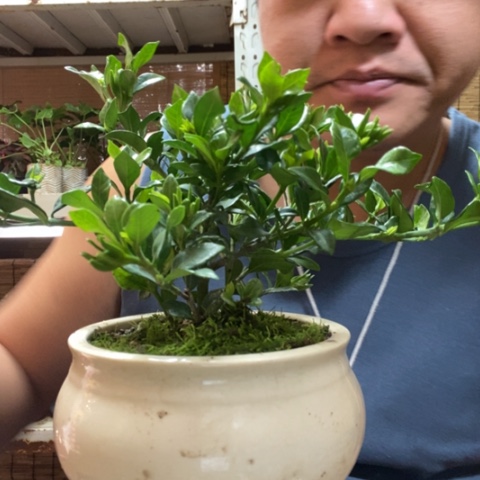 红陶陶**得一物一拍所见即所得13