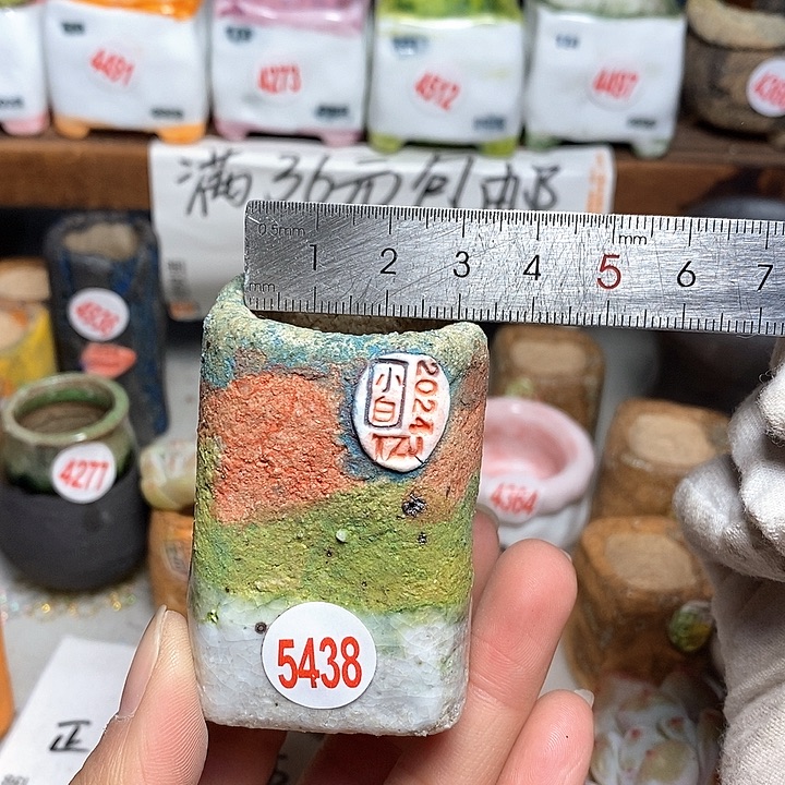 红陶拍3送一个小