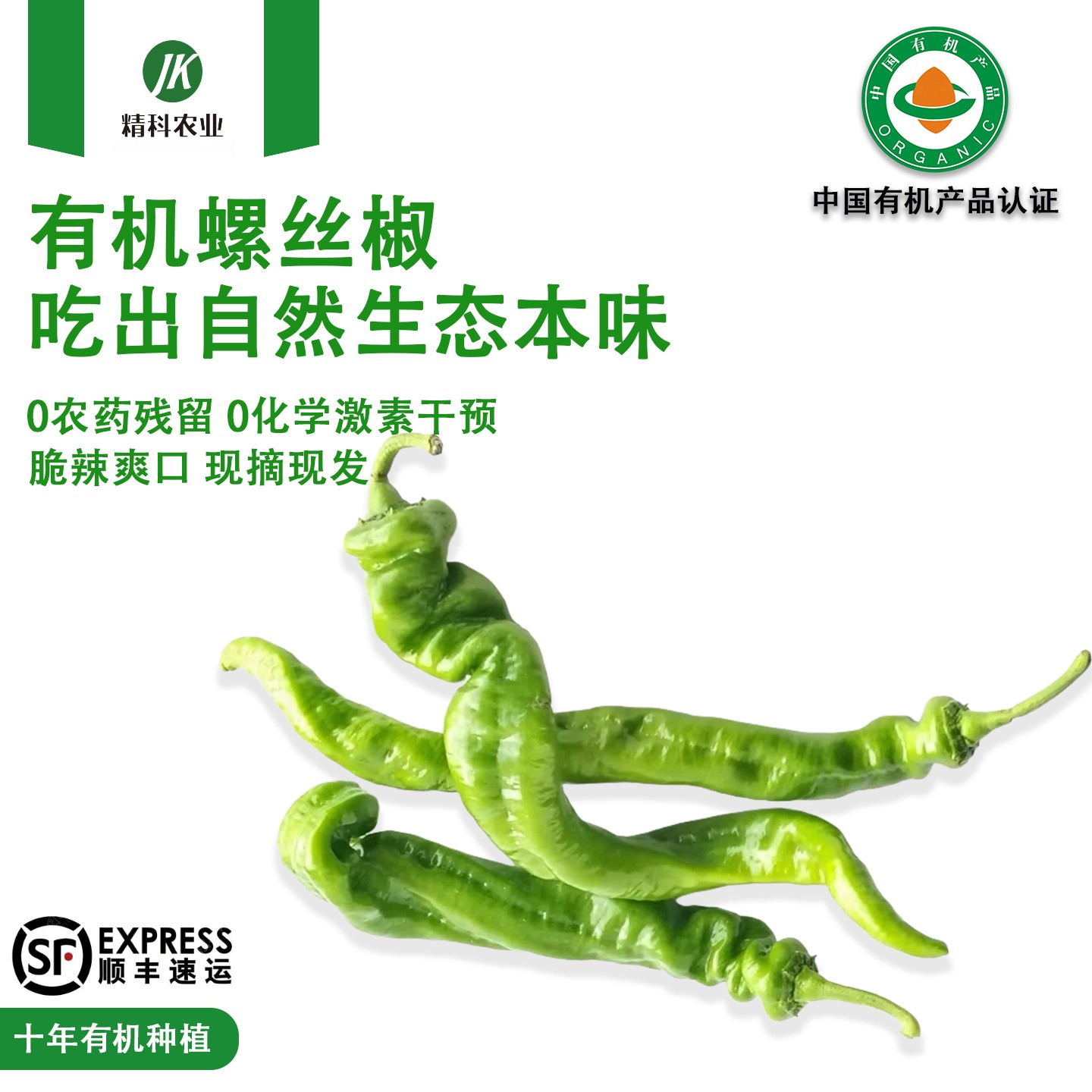 精科优鲜·有机螺丝椒 净含量3-5斤装 辣脆清香 现摘现发 清脆香辣