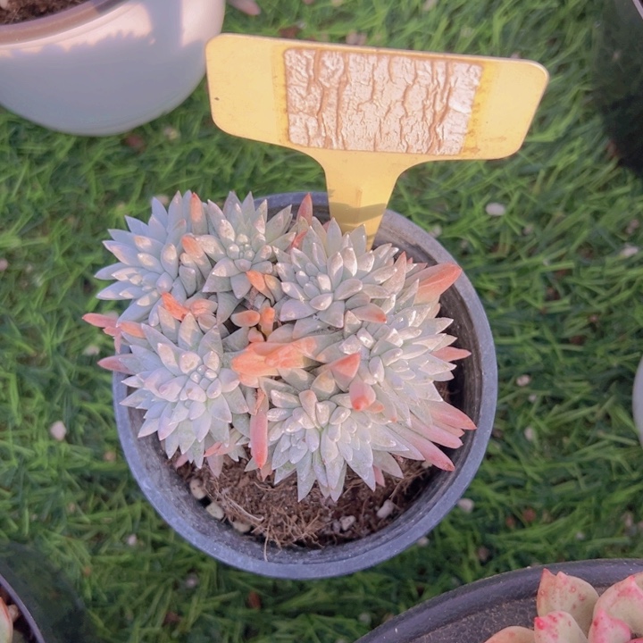 健健康康平平安安