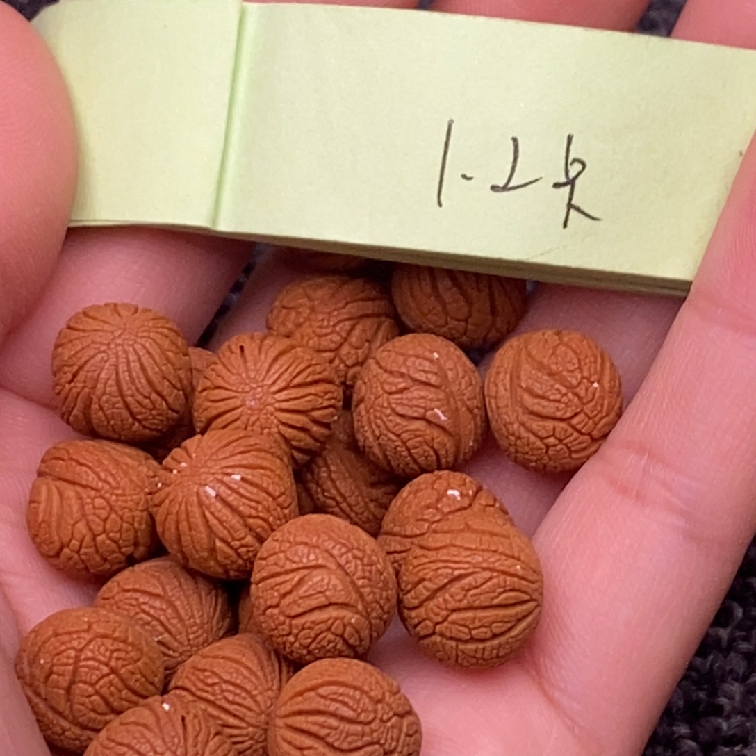 秦岭山脉龙纹桃核 20