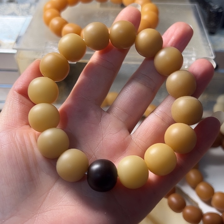 手串菩提根/象牙果
