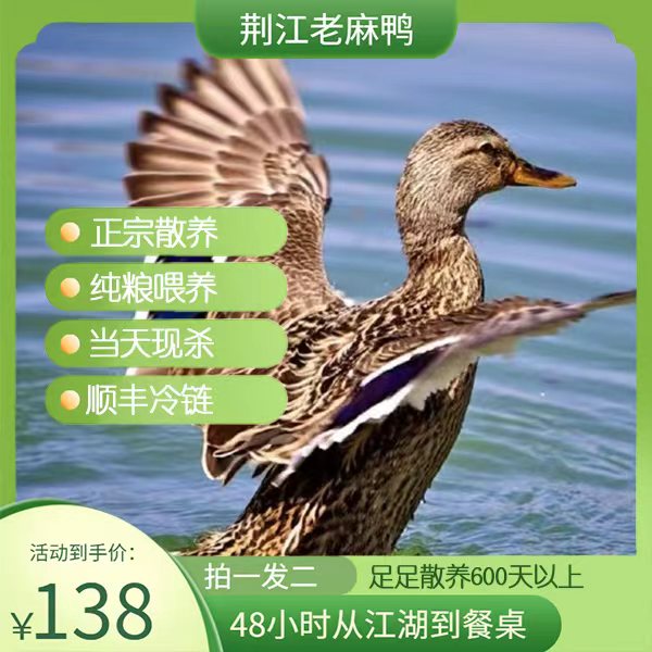 弘宝湖北自然生态荆江老麻鸭现杀真空包【顺丰冷链】