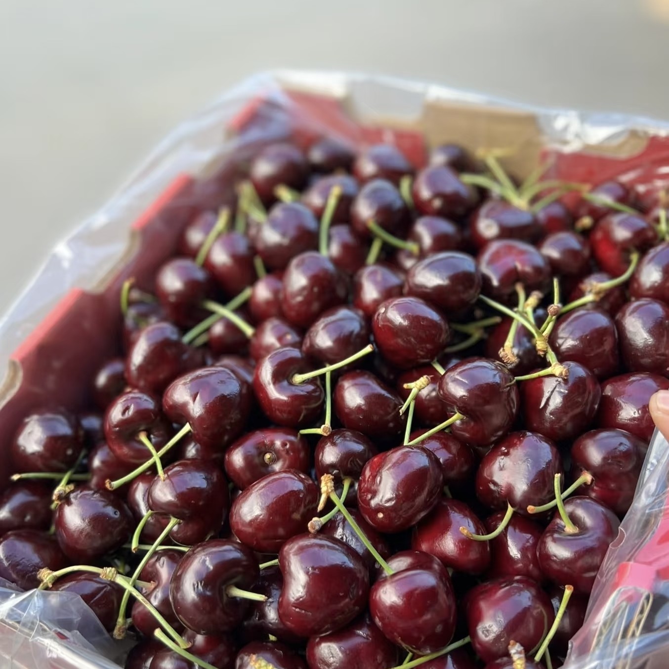 （空运）桑提娜|2J|车厘子一箱4斤