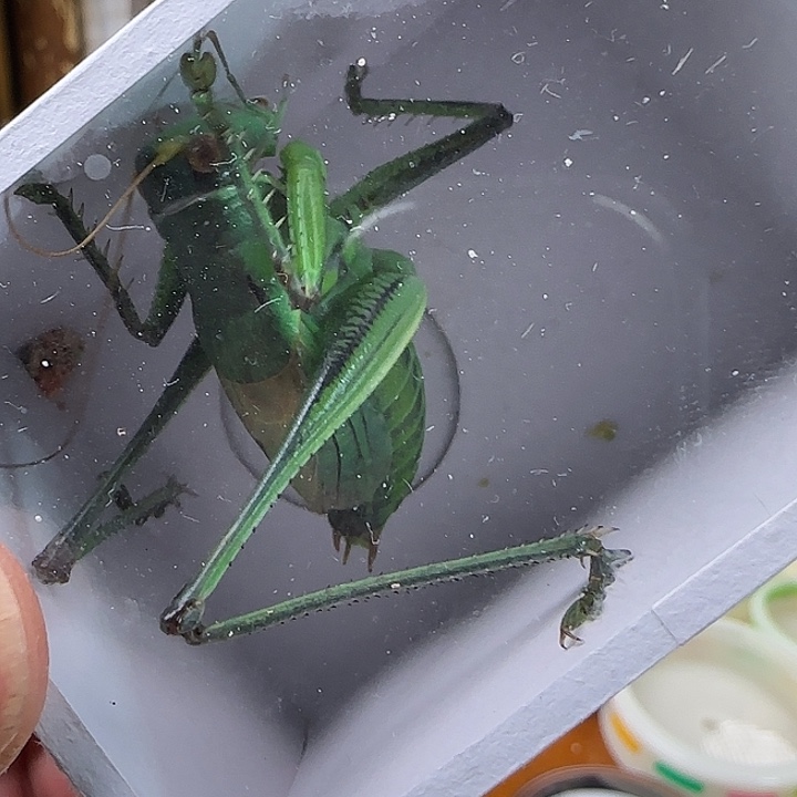 *****我也是一个人在外面