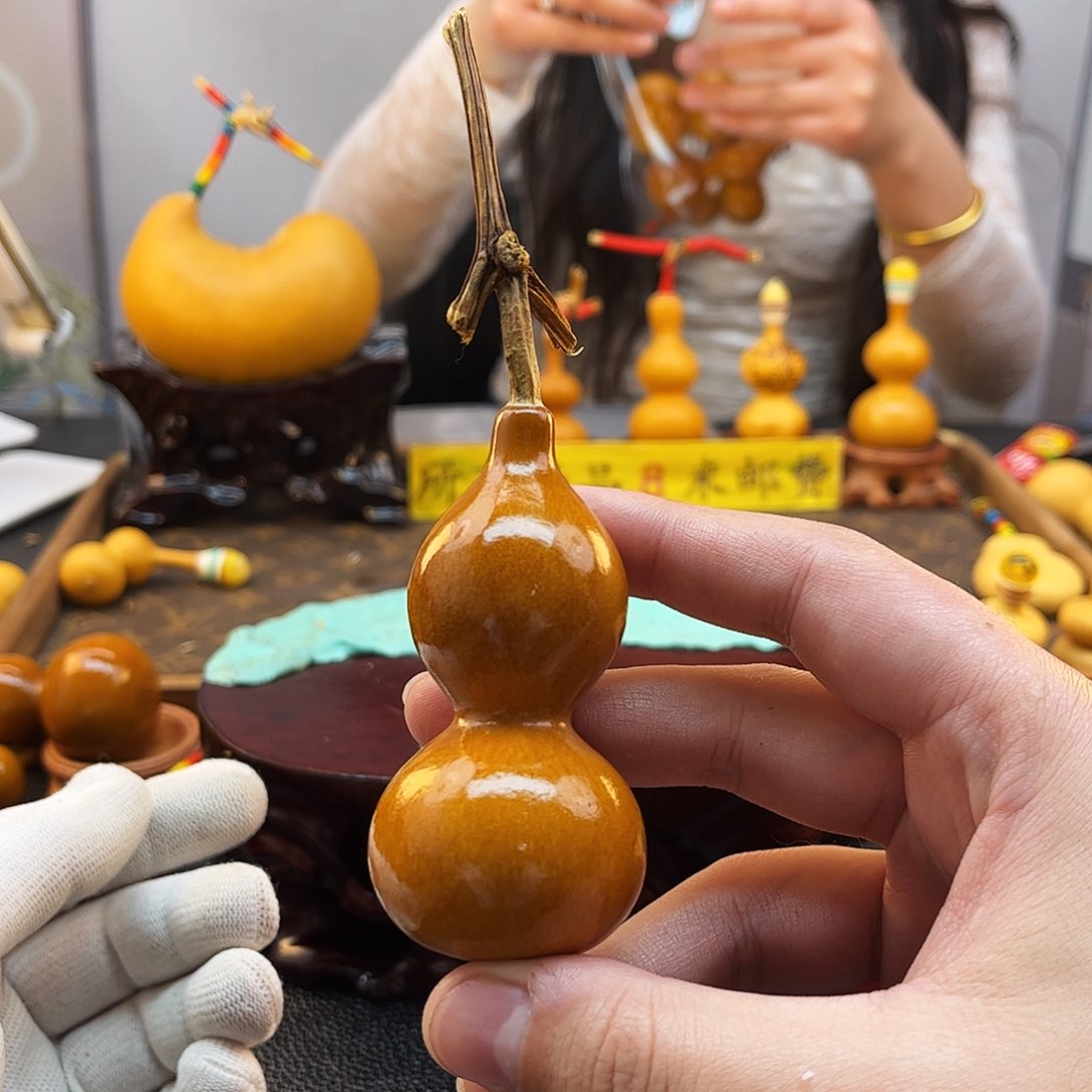 用****2啦咯啦咯啦咯啦咯啦咯啦咯啦