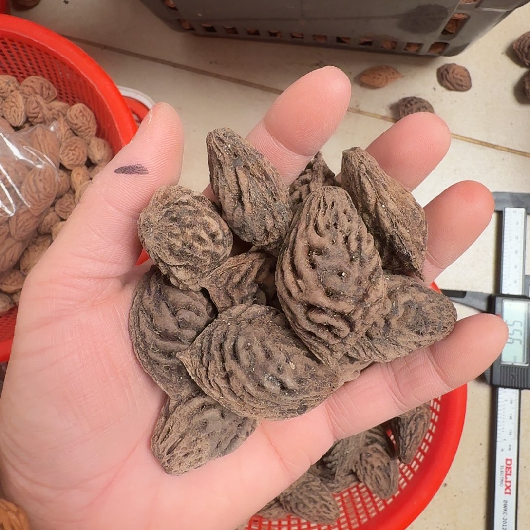 精品大尺寸桃枭10颗