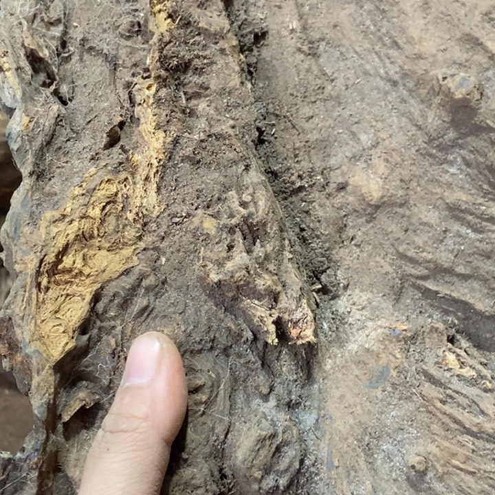 贡木手串顺*定制不退不换