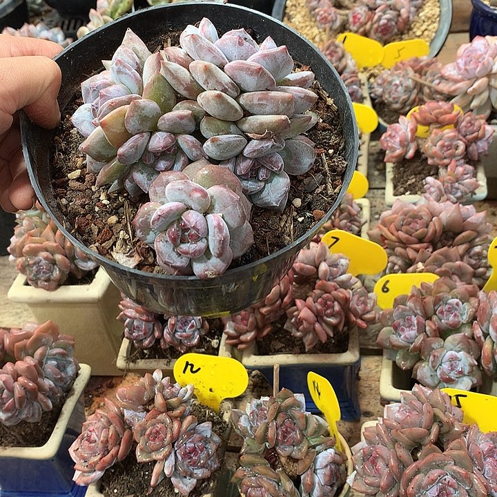 哈哈哈哈哈哈哈哈哈16