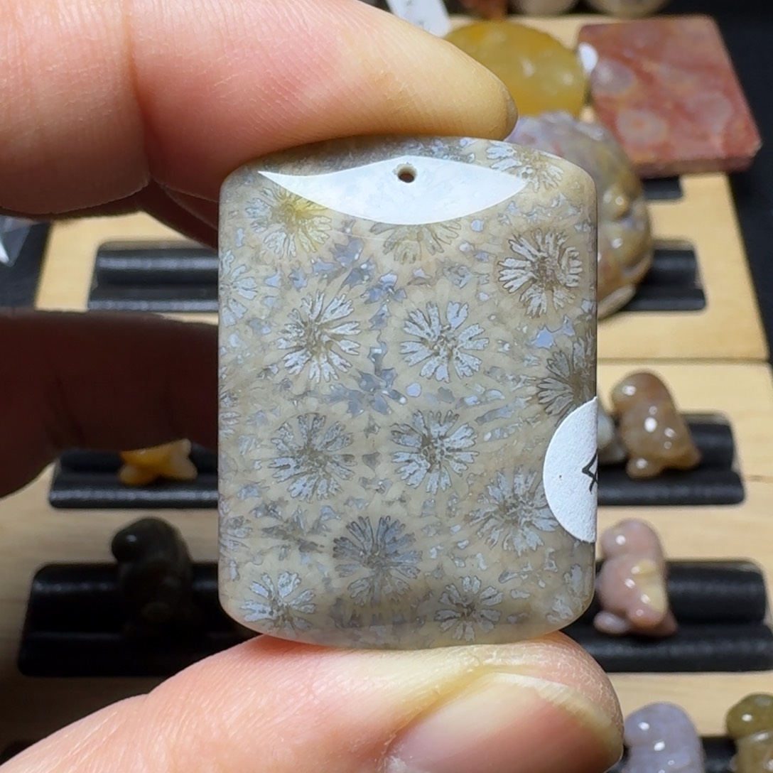 硅化珊瑚（珊瑚玉）纯天然色有机玉石未镶嵌