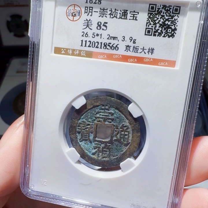 铜DX评级币一个……8566