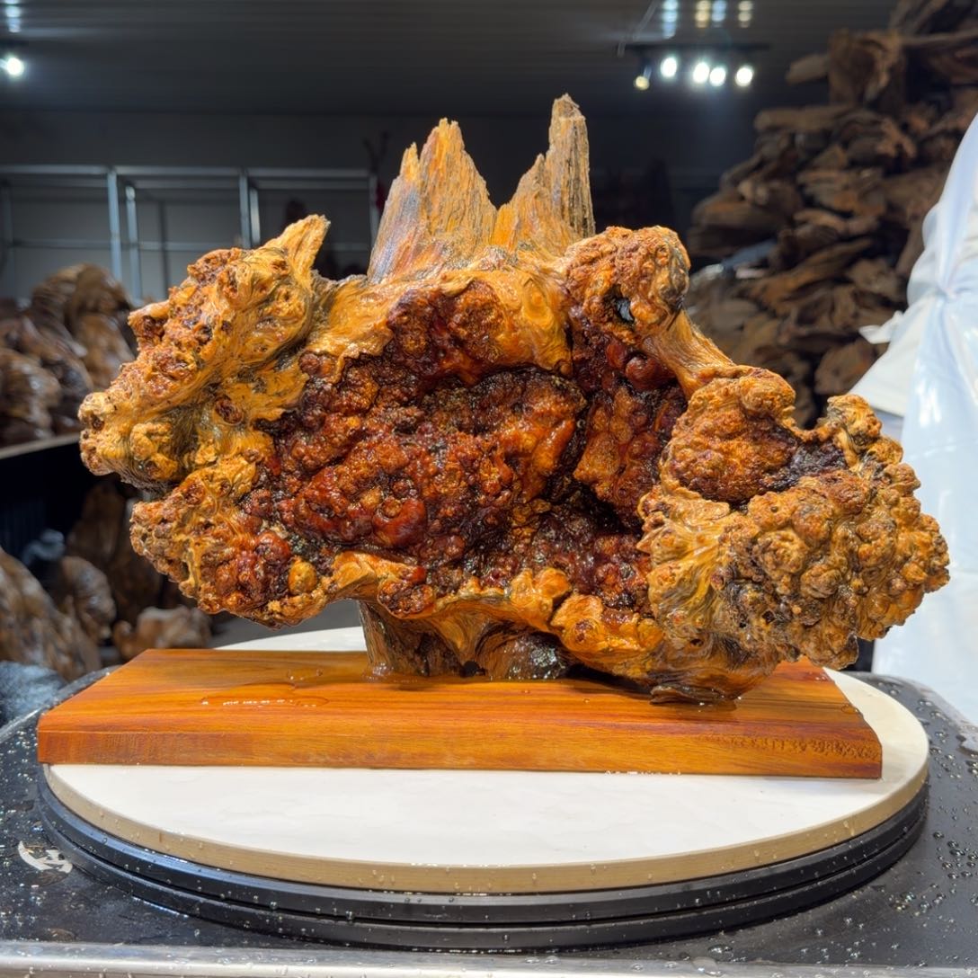 人***态木王一刀琥珀木摆件75