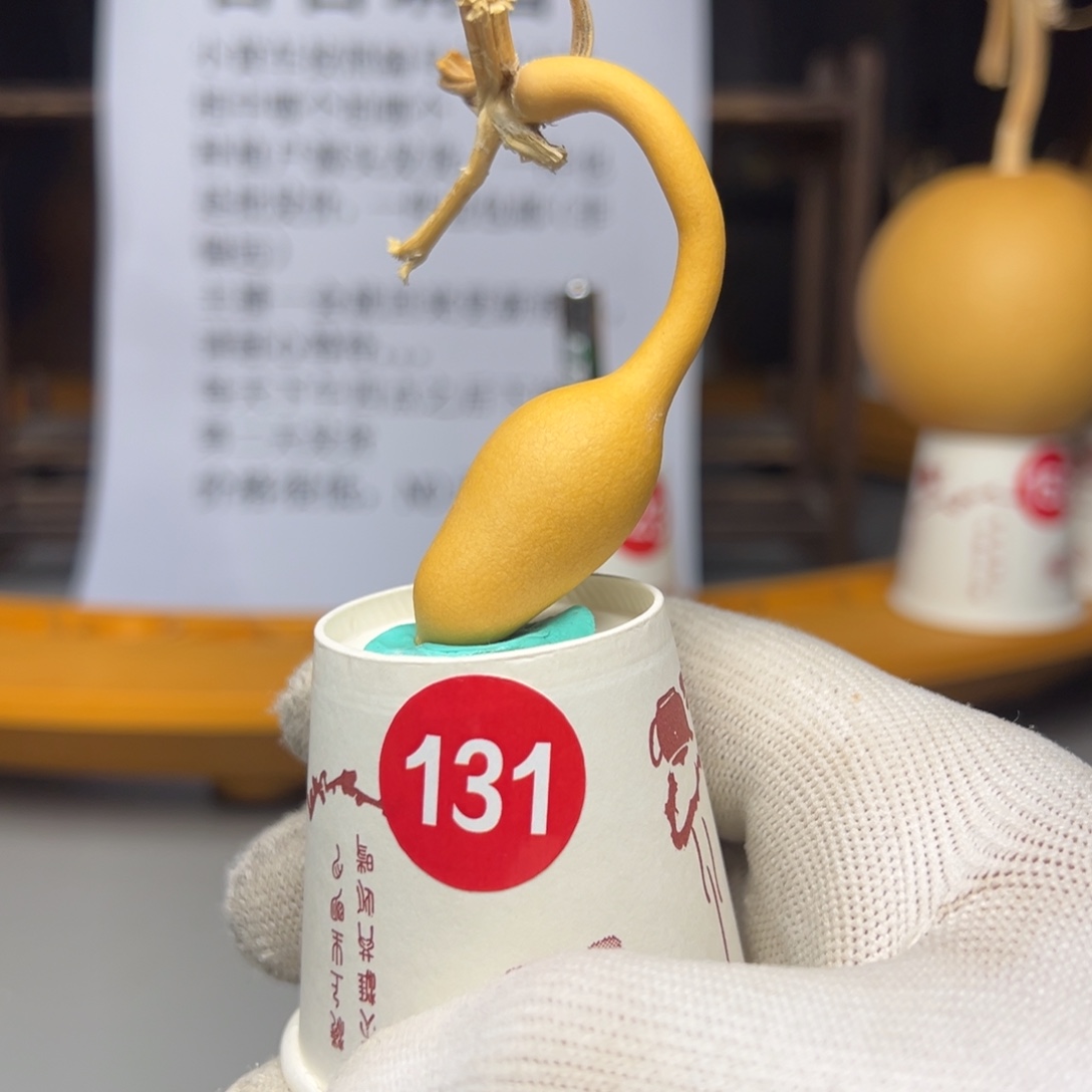 闪电购自助下单编号131