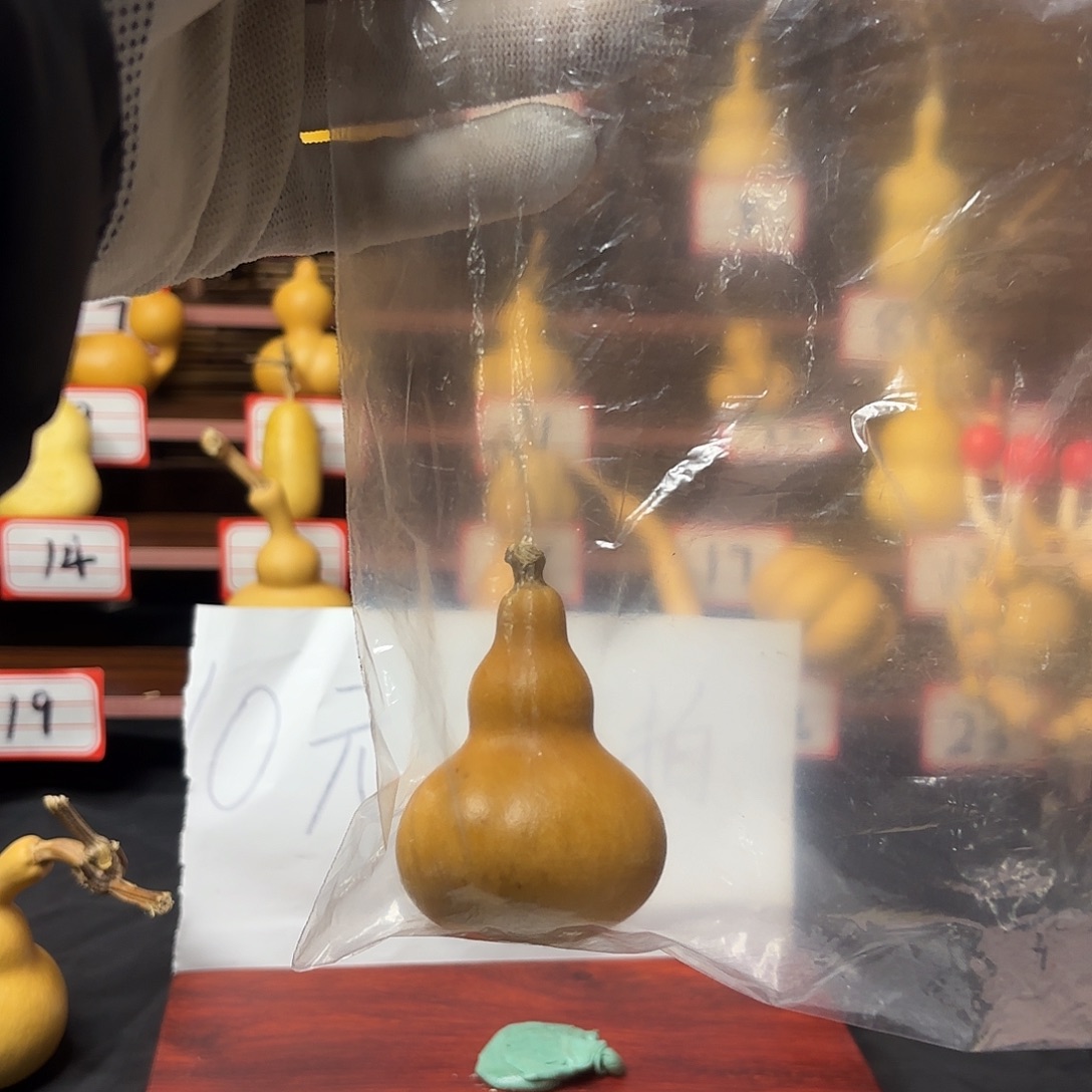 看好下单不退不换