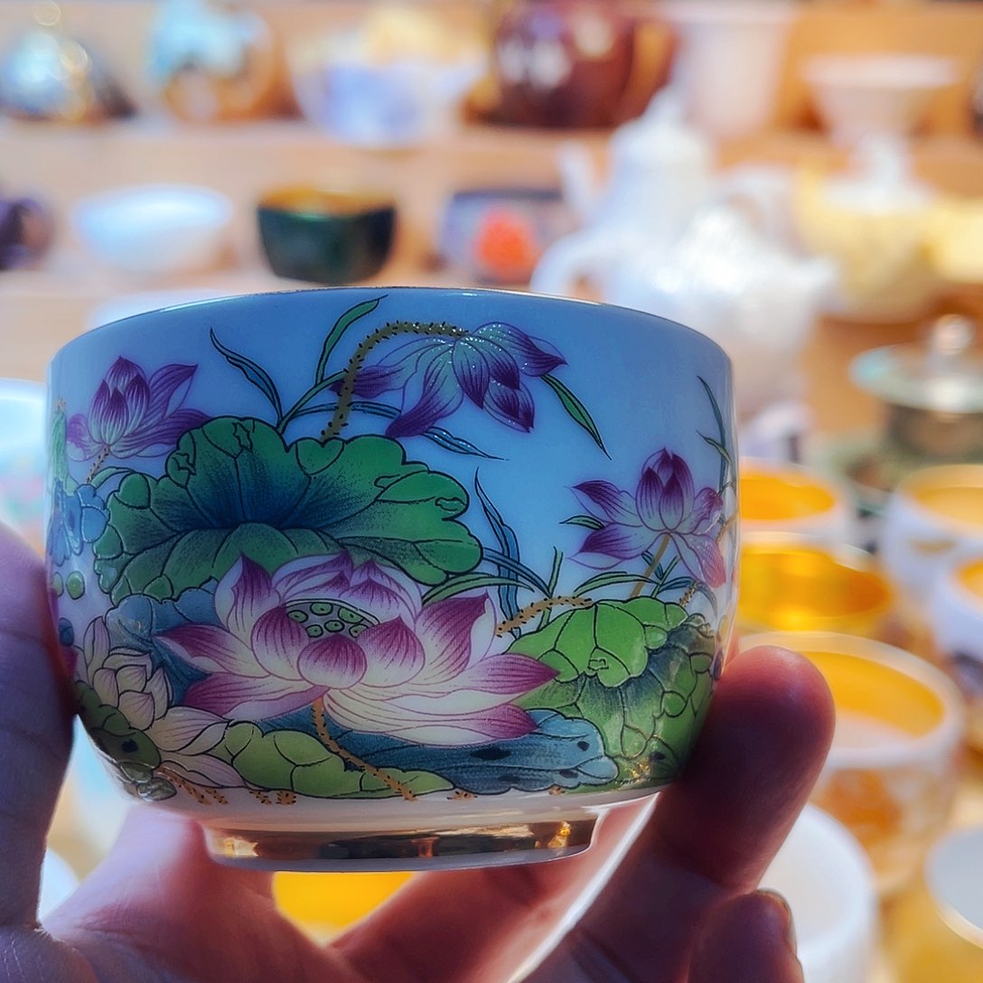 杯主人你主人杯主人杯