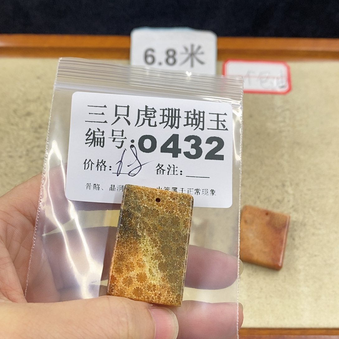 硅化珊瑚（珊瑚玉）1未镶嵌代*词