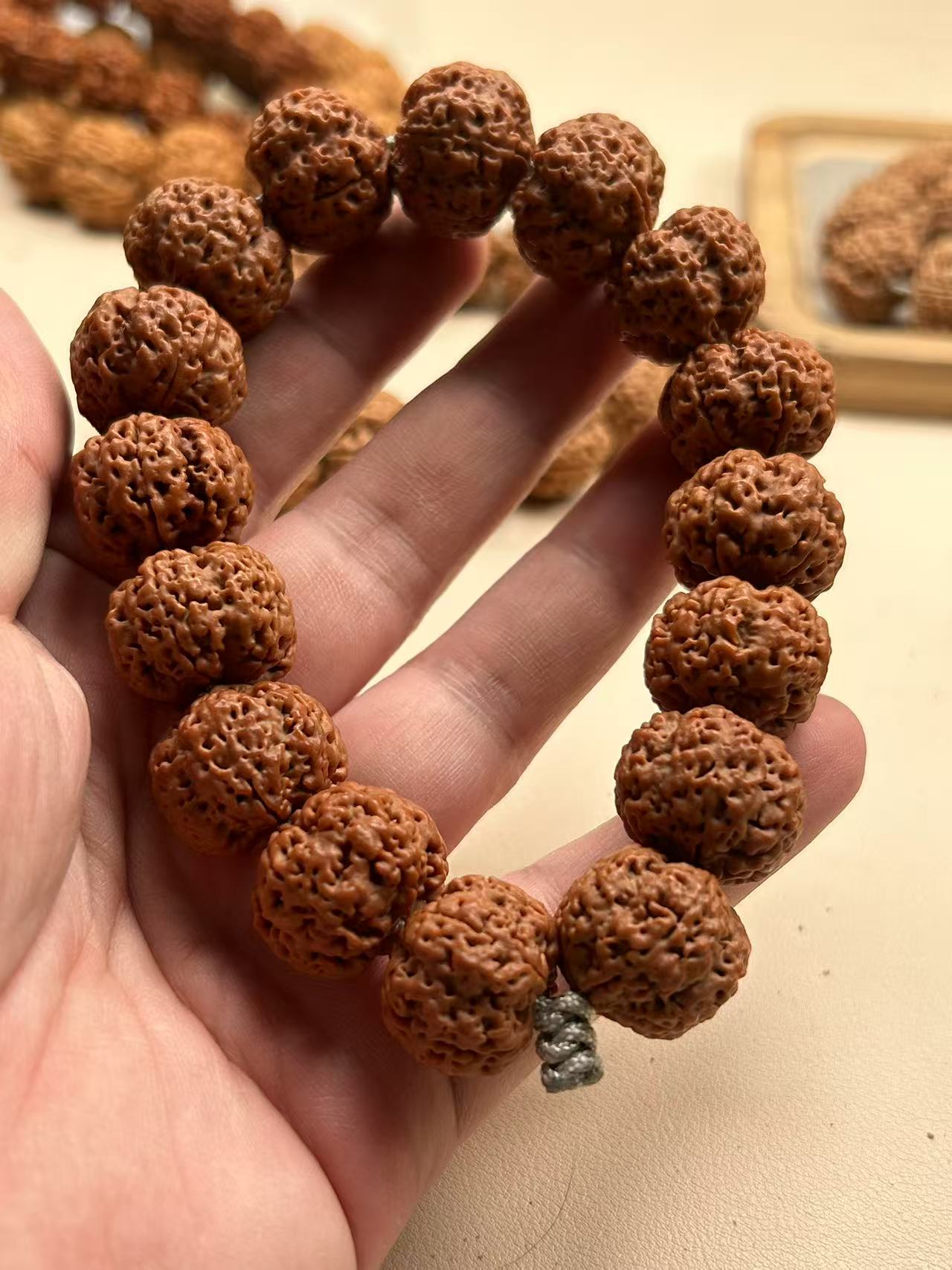 尼泊尔金刚菩提普世二号