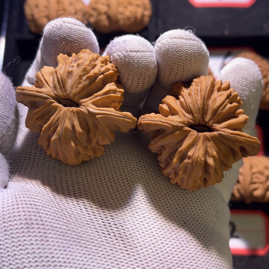 泽*❓秦皇岛山地果全品—20